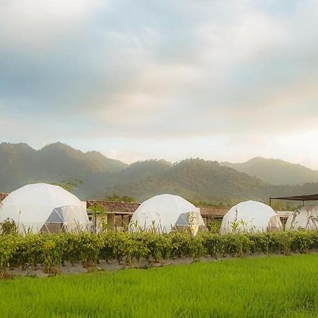 Borobudur Luxury Glamping Магеланг Экстерьер фото