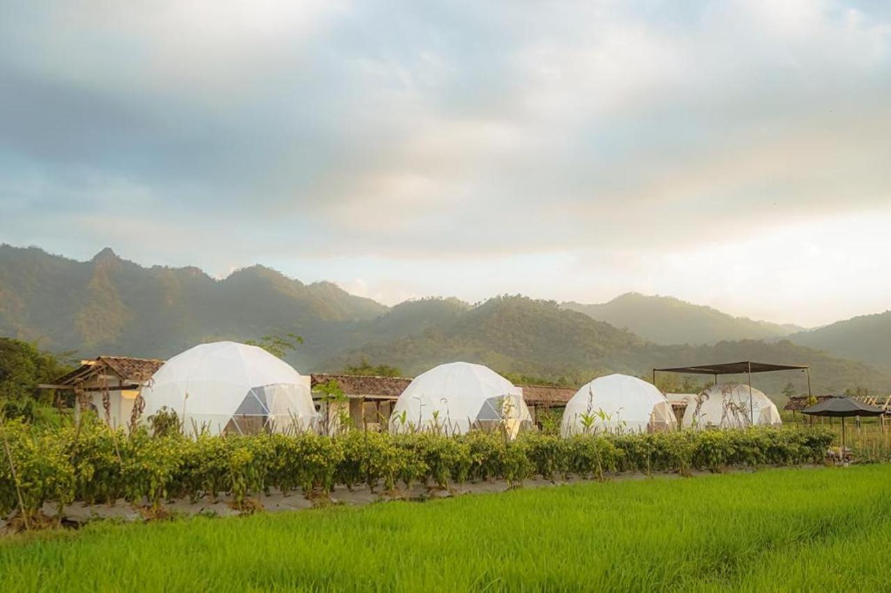 Borobudur Luxury Glamping Магеланг Экстерьер фото