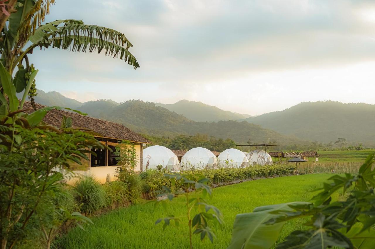 Borobudur Luxury Glamping Магеланг Экстерьер фото