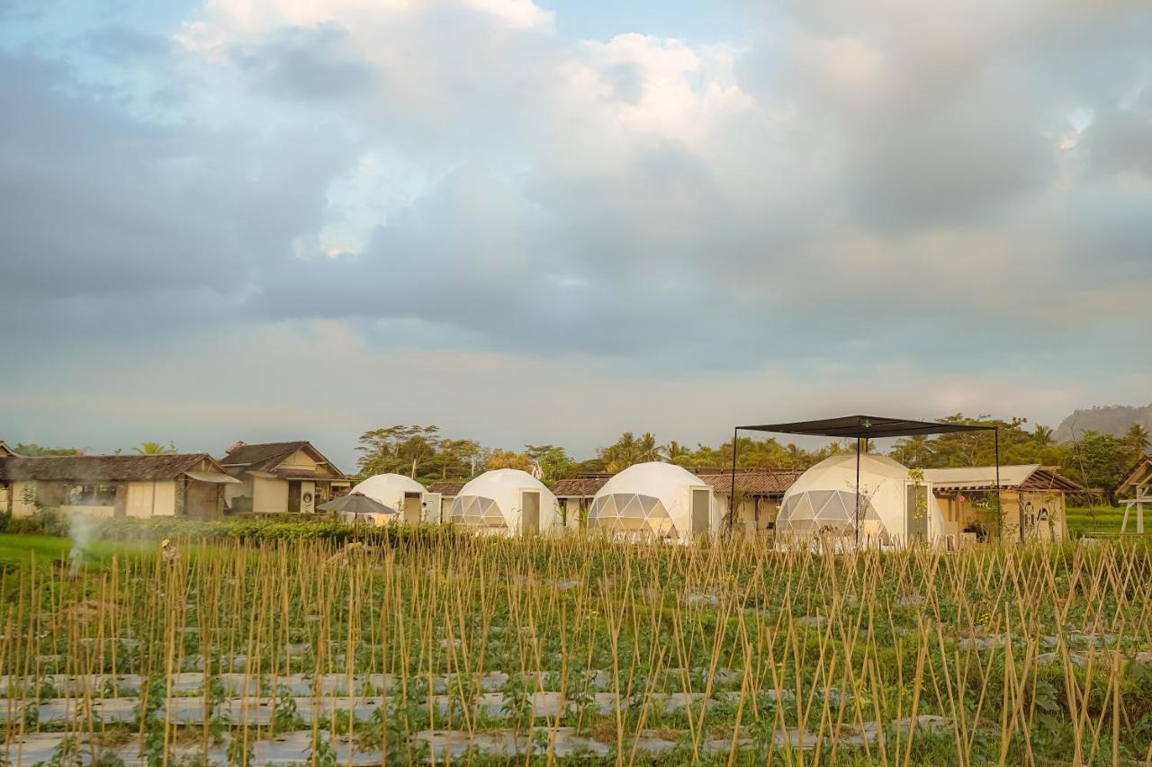 Borobudur Luxury Glamping Магеланг Экстерьер фото